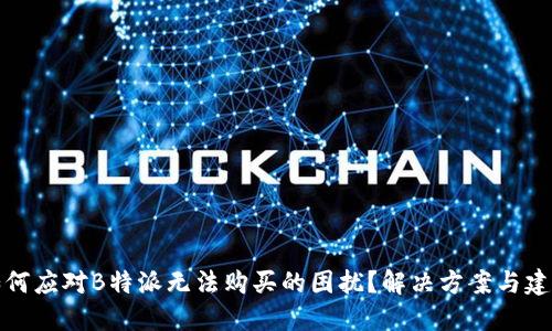 如何应对B特派无法购买的困扰？解决方案与建议
