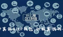 如何区分真假BitP钱包：识别真伪的全面指南