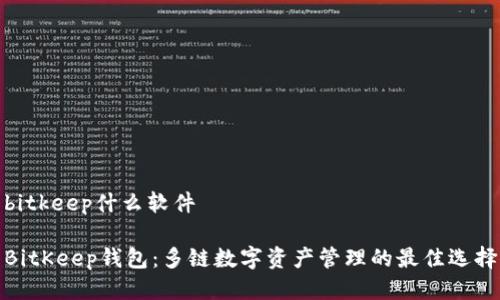 bitkeep什么软件
BitKeep钱包:多链数字资产管理的最佳选择