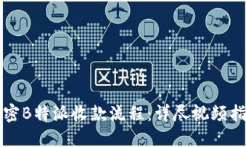 解密B特派收款流程:详尽视频指南