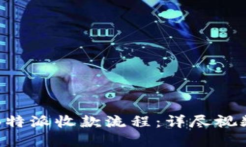 解密B特派收款流程:详尽视频指南