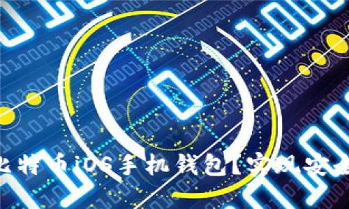 如何选择最适合你的比特币iOS手机钱包?实现安全、便利的加密货币交易