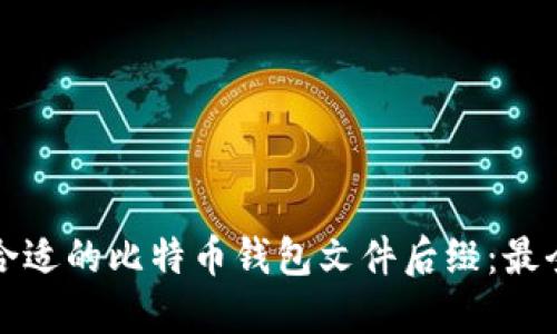 如何选择合适的比特币钱包文件后缀:最全面的指南
