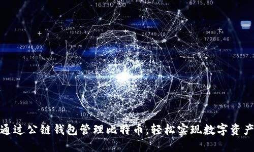 如何通过公链钱包管理比特币,轻松实现数字资产增值