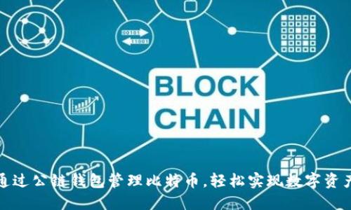 如何通过公链钱包管理比特币,轻松实现数字资产增值