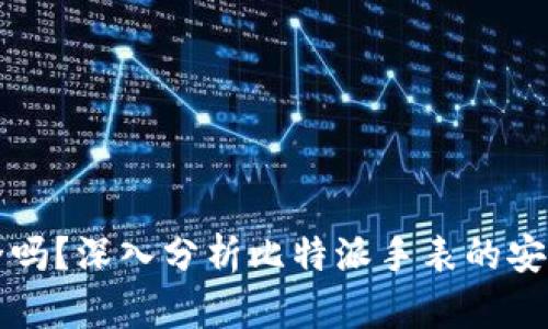 比特派手表安全吗?深入分析比特派手表的安全性和风险评估