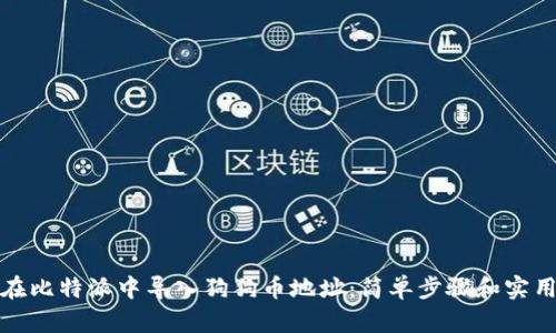 如何在比特派中导入狗狗币地址:简单步骤和实用技巧