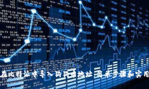 如何在比特派中导入狗狗币地址:简单步骤和实用技巧