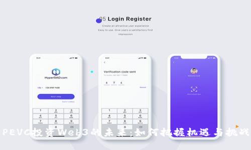 PEVC投资Web3的未来：如何把握机遇与挑战