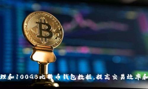 如何管理和100GB比特币钱包数据，提高交易效率和安全性