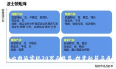 如何通过比特派实现30万元收益：投资