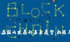 Web3在国内发展的未来展望：机遇与挑