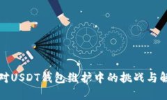 如何应对USDT钱包维护中的挑战与解决方案