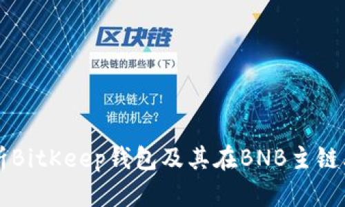 全面解析BitKeep钱包及其在BNB主链上的应用