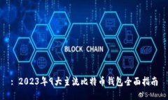 : 2023年9大主流比特币钱包全面指南