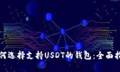 如何选择支持USDT的钱包：全面指南
