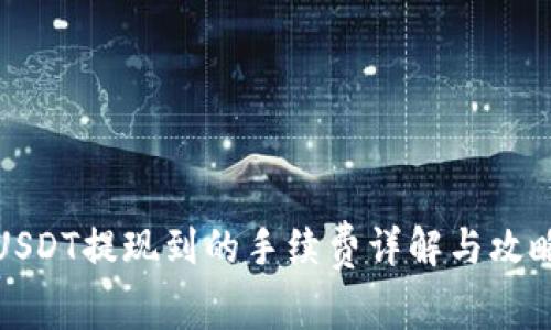USDT提现到的手续费详解与攻略