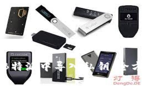 如何在B特派中导入私钥：全方位指南